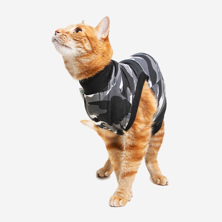 수티컬 고양이 리커버리 수트 회복옷 블랙카모